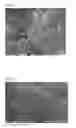 Fig. 02 - Crash cooling method to prepare toner