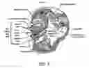 Fig. 04 - Control of computer via distortions of facial geometry
