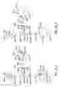 Fig. 14 - Control of computer via distortions of facial geometry
