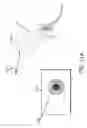 Fig. 46 - Eye center of rotation determination, depth plane selection, and render camera positioning in display systems