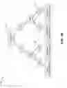 Fig. 03 - Fast restoration method from inode based backup to path based structure