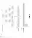 Fig. 06 - Fast restoration method from inode based backup to path based structure