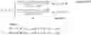 Fig. 02 - Unsupervised learning approach for video deblurring