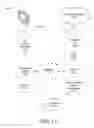 Fig. 12 - Relevant motion detection in video