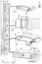 Fig. 02 - Electronic gaming machine and methods for displaying supplemental information