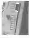 Fig. 02 - Electronic musical instrument with device