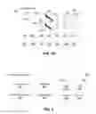 Fig. 03 - System and methods for animal dental charting