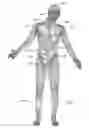 Fig. 02 - Process for manufacturing a leadless feedthrough for an active implantable medical device