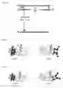 Fig. 06 - Direct singlet capture organic molecules with short emission decay time and application thereof in optoelectronic devices