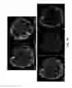 Fig. 09 - Inks for nanofiber fuel cell electrode and membrane-electrode-assemblies, and methods of ink formulations