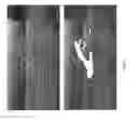 Fig. 07 - Method of pre-processing of video information for optimized video encoding