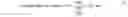Fig. 03 - Validating and calibrating splice points in interstitial content
