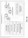 Fig. 06 - Digital overlay offers on connected media devices