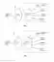 Fig. 07 - Personal working system capable of being dynamically combined and adjusted