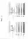 Fig. 14 - Method for transmitting and receiving signals by terminal supporting EN-DC