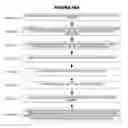 Fig. 65 - INSECT AND CANNABIS PRODUCTION SYSTEMS AND METHODS