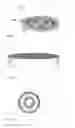 Fig. 06 - Non-membrane feeding device and diet formulation for mosquito colony production