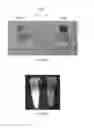 Fig. 09 - Non-membrane feeding device and diet formulation for mosquito colony production