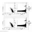 Fig. 35 - Platelet Storage and Reduced Bacterial Proliferation In Platelet Products Using A Sialidase Inhibitor