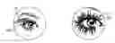 Fig. 01 - MAGNETIC FALSE EYELASHES AND EYEBROWS