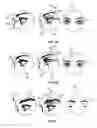 Fig. 02 - MAGNETIC FALSE EYELASHES AND EYEBROWS