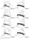 Fig. 06 - MAGNETIC FALSE EYELASHES AND EYEBROWS