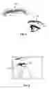 Fig. 07 - MAGNETIC FALSE EYELASHES AND EYEBROWS