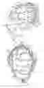 Fig. 05 - Catcher's helmet