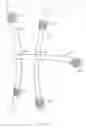 Fig. 16 - Catcher's helmet