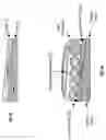 Fig. 61 - Athletic positioning apparatus and applications thereof
