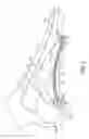Fig. 03 - Anatomical support method using elongate strap support