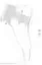 Fig. 24 - Anatomical support method using elongate strap support