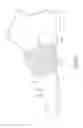 Fig. 26 - Anatomical support method using elongate strap support