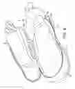 Fig. 06 - TOP ACCESSIBLE FOOTWEAR
