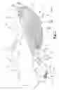 Fig. 02 - Sole structure for article of footwear