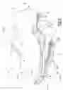 Fig. 03 - Sole structure for article of footwear