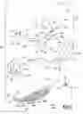 Fig. 04 - Sole structure for article of footwear
