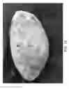 Fig. 15 - Sole structure for article of footwear