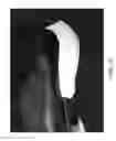 Fig. 16 - Sole structure for article of footwear