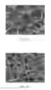 Fig. 07 - Midsole material composition, method for producing midsole material and shoe sole