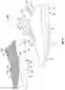 Fig. 07 - Article of footwear having an automatic lacing system