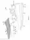 Fig. 07 - Article of footwear having an automatic lacing system