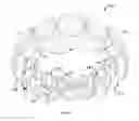Fig. 09 - Jewelry ring having an automatic size adjusting device