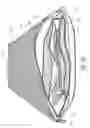 Fig. 07 - System for and method of containing unpleasant odors during travel