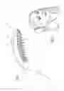 Fig. 02 - Brush for lice or other parasitic insects