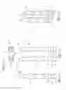 Fig. 11 - Brush for lice or other parasitic insects