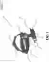 Fig. 02 - Tele-microscopic magnifying attachment for binocular indirect ophthalmoscopes