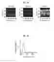 Fig. 09 - Optical coherence tomography apparatus and measurement method