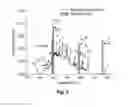 Fig. 08 - Stand-alone apparatus and methods for in vivo detection of tissue malignancy using laser spectroscopy