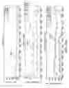 Fig. 49 - Sensor systems, devices, and methods for continuous glucose monitoring
